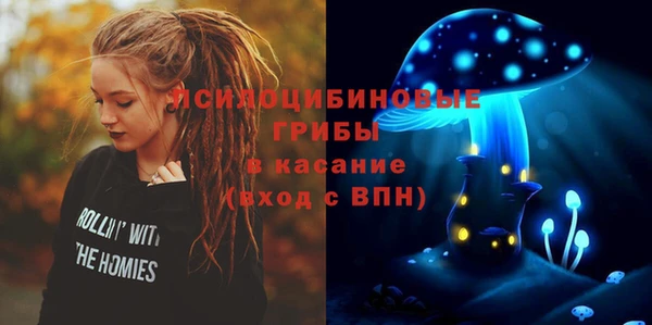 скорость Корсаков
