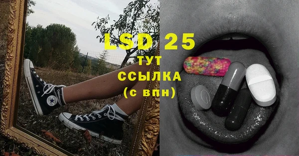 стафф Санкт-Петербург