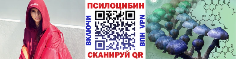 купить  сайты  Пикалёво  Псилоцибиновые грибы Magic Shrooms 